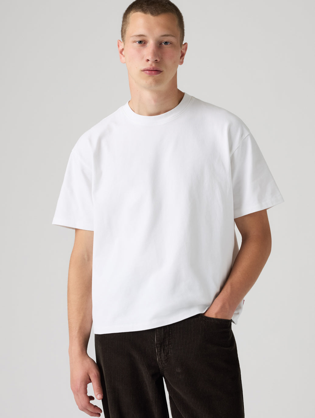 become tree 22W コーデュロイショートスリーブクロップドシャツ　L クロップド ショートスリーブ Tシャツ – リーバイス®公式オンラインストア