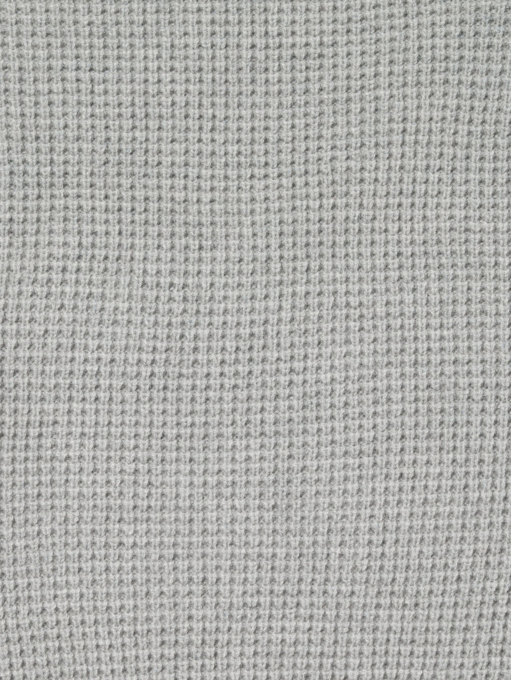 プレシディオ クルースウェット グレー