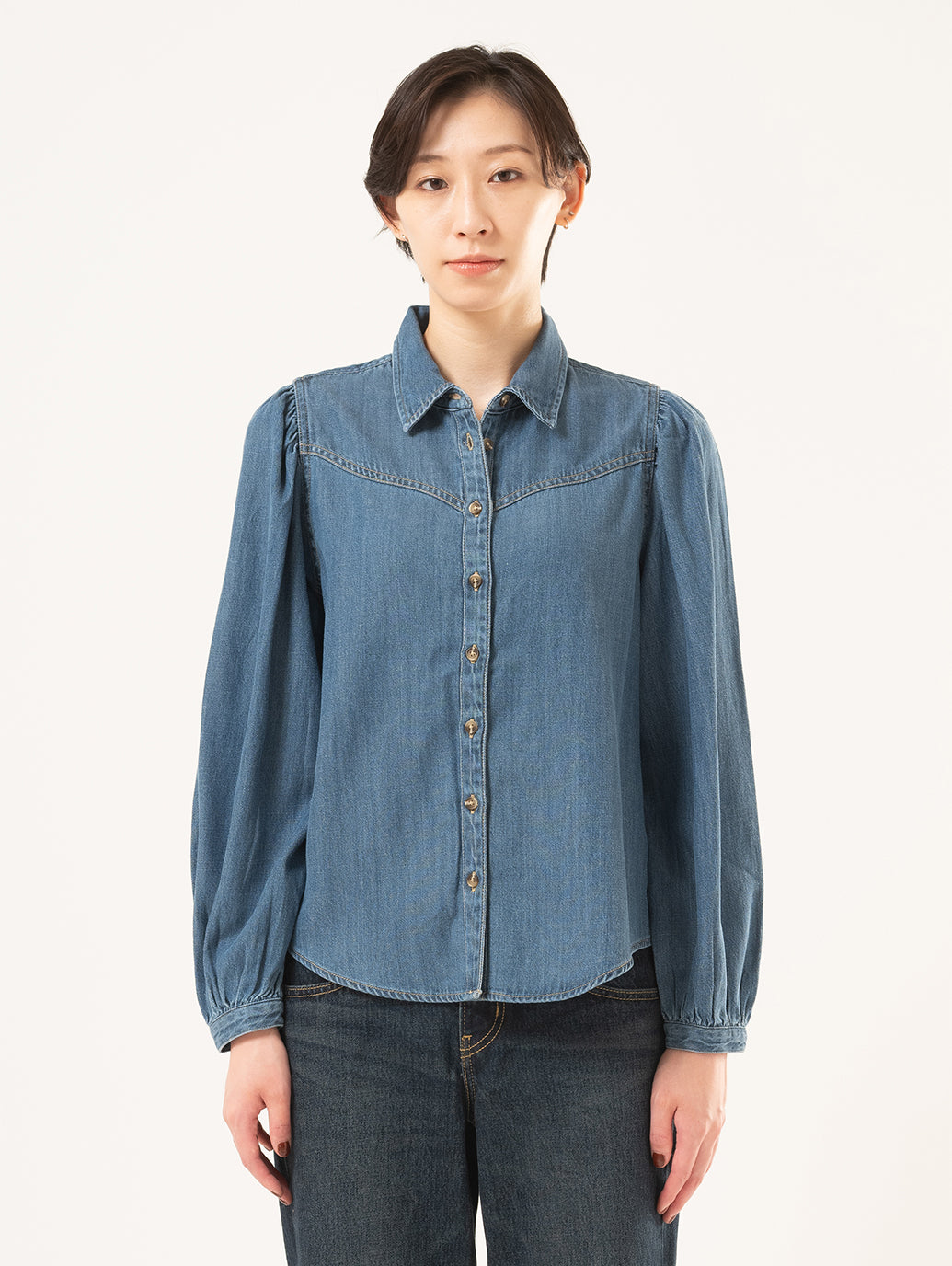 Journey ウエスタンシャツ