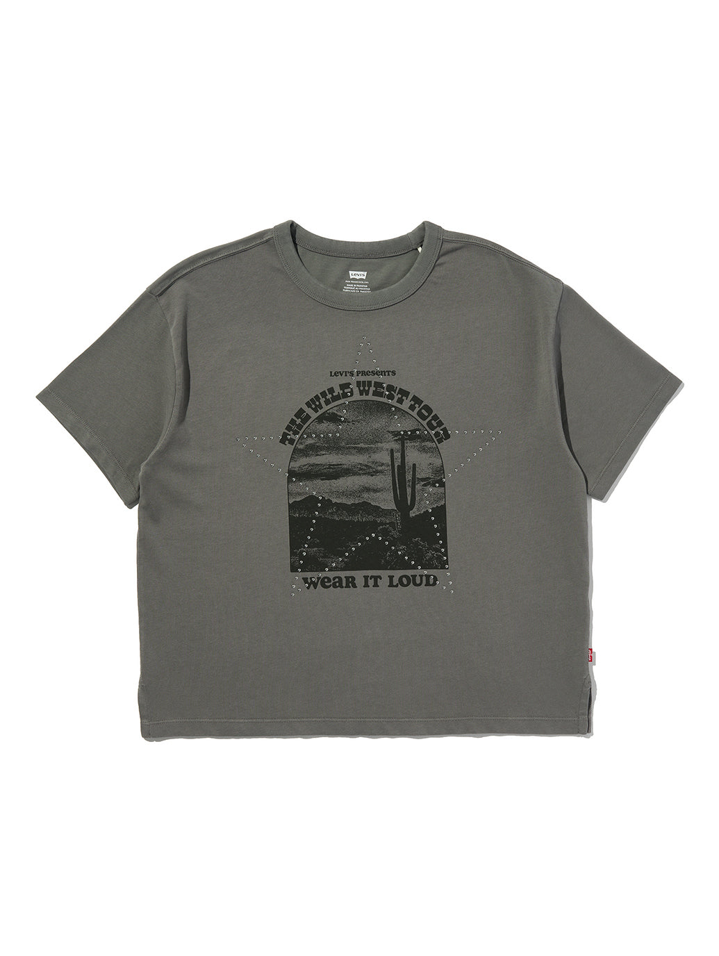 グラフィックヴィンテージTシャツ – リーバイス®公式オンラインストア