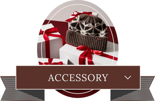 ACCESSORY