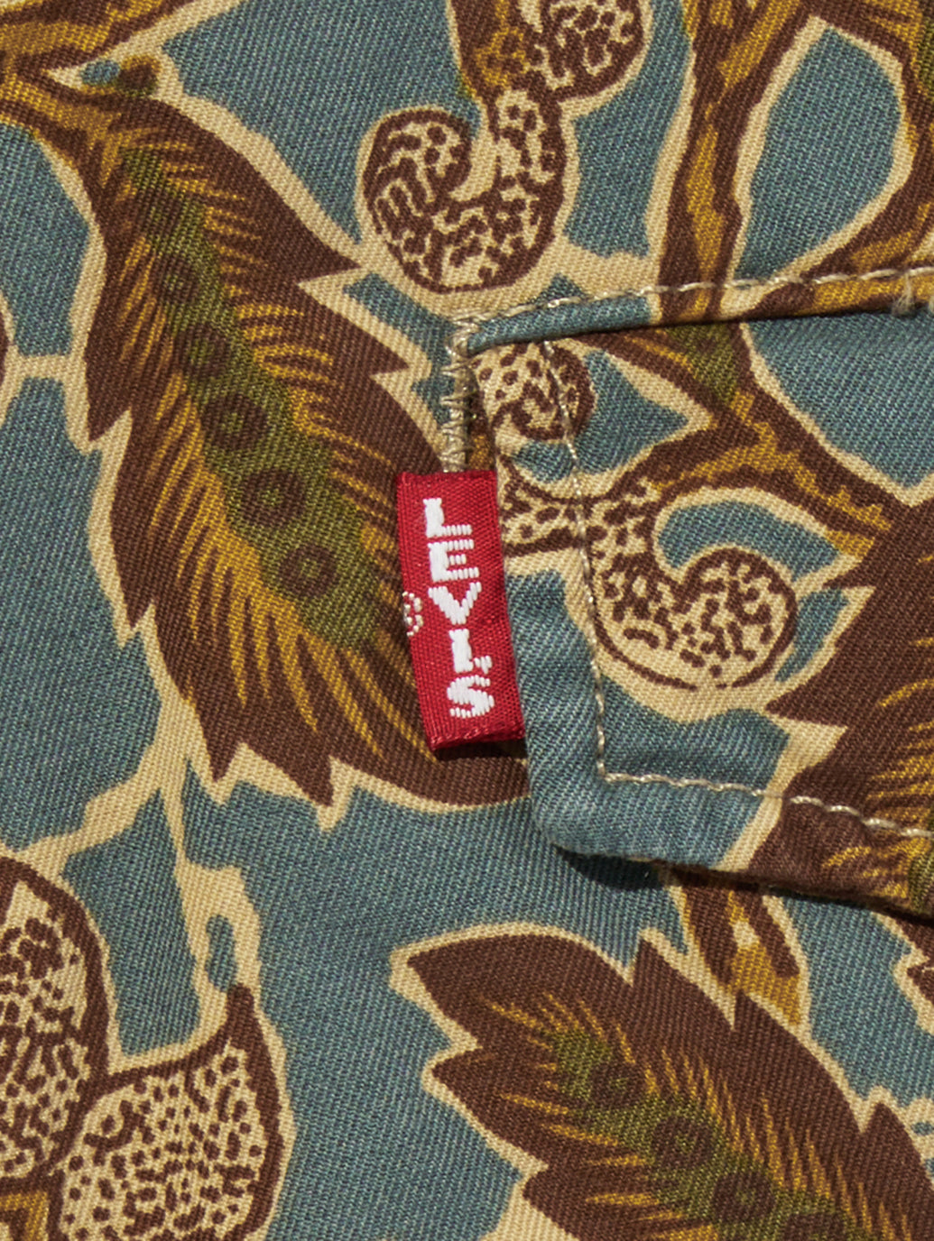 XX CHINO オーセンティック ショートパンツ ブラウン