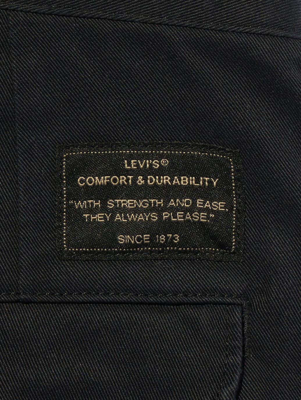 Levis® SKATE CUSTOMIZED EXPANSION BAGGY S/D