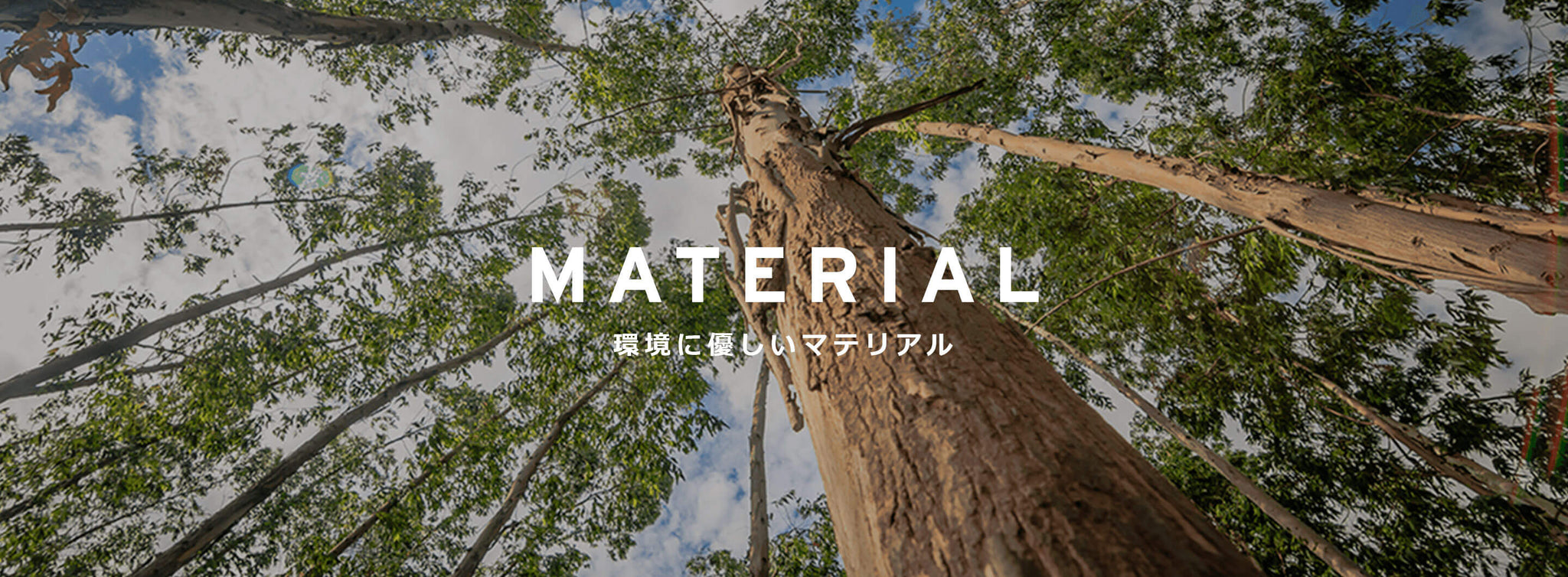 サステナビリティの取り組み