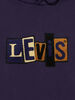 LEVI'S® SKATE フーディー パープル CHENILLE PATCH